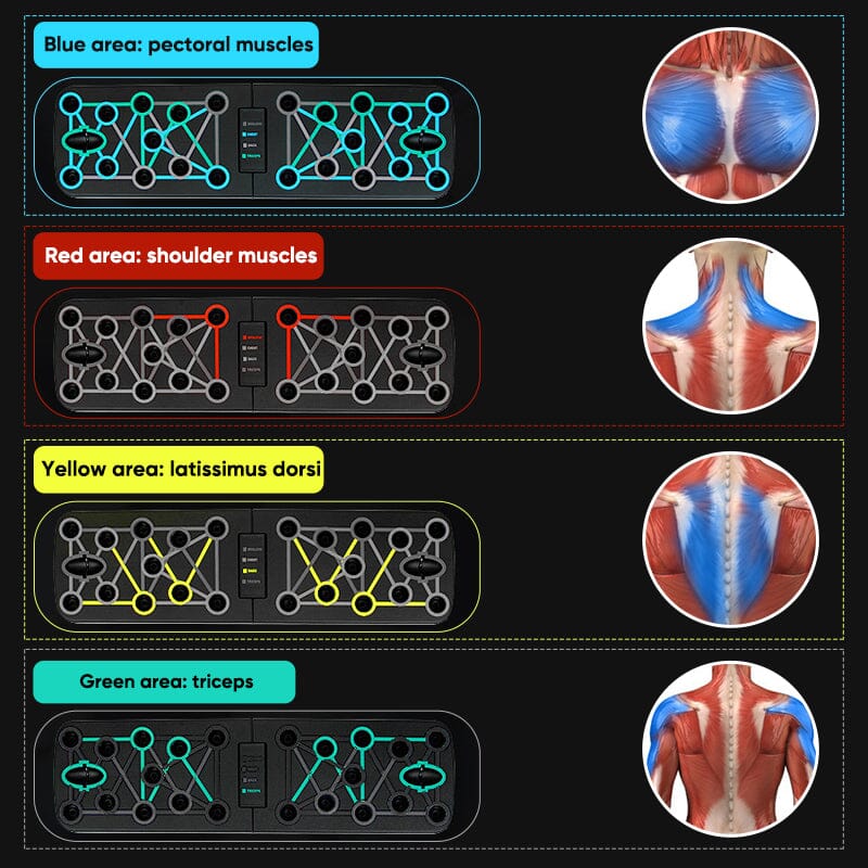 Folding Push-Up Multi-Muscle Trainer