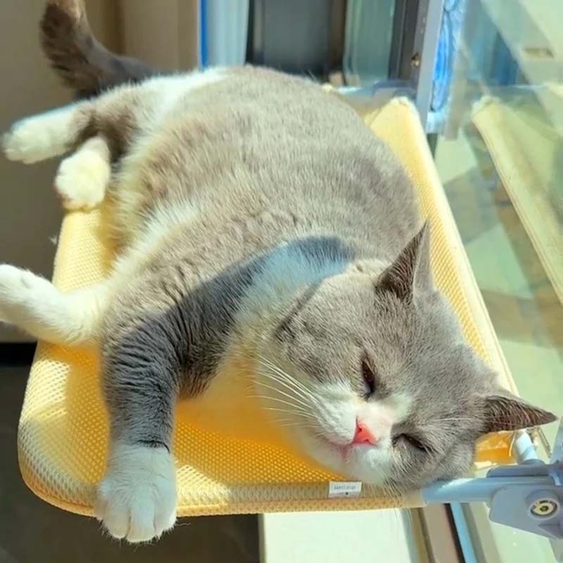 Foldable Cat Window Bed