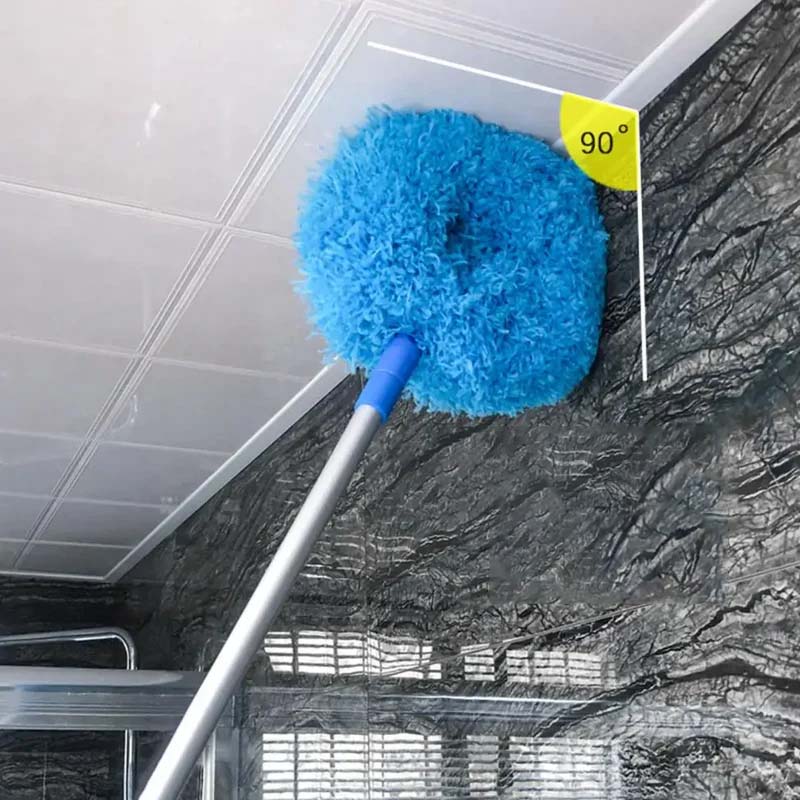 Ring shape dust brush