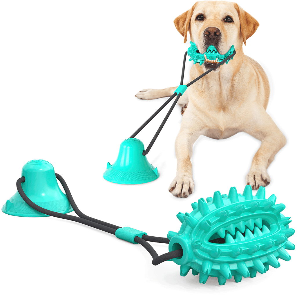 Single Suction Cup Cactus Chew Ball for Dogs