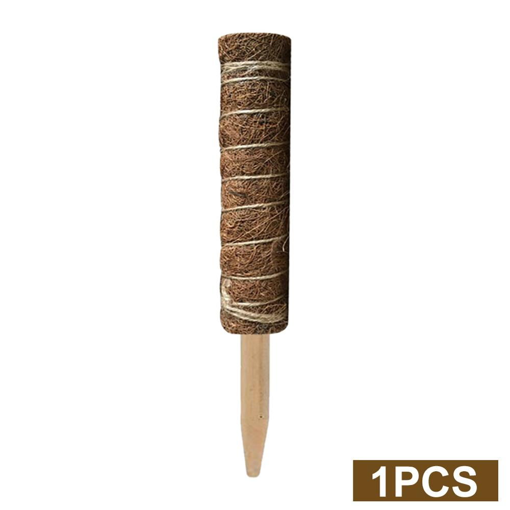 Coconut moss stick for climbing plants – Natural climbing aid for houseplants and garden