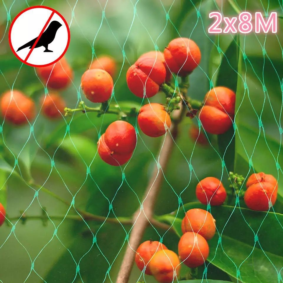 Protective net for garden plants – Green net against pests and animals