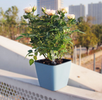 Flower pot with irrigation system – Self-watering plant pot for indoor and outdoor use