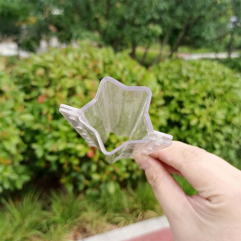 Love Shape Cucumber Growth Form