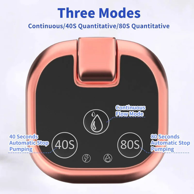 Multifunctional automatic water consumption pump