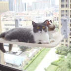 Foldable Cat Window Bed