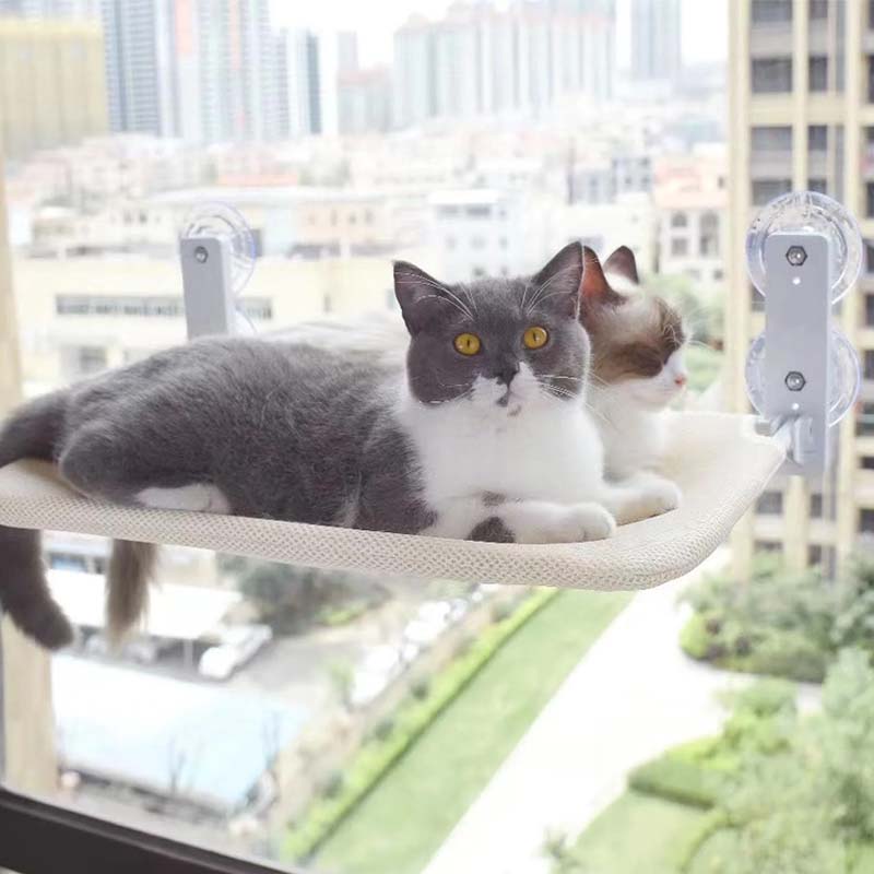 Foldable Cat Window Bed