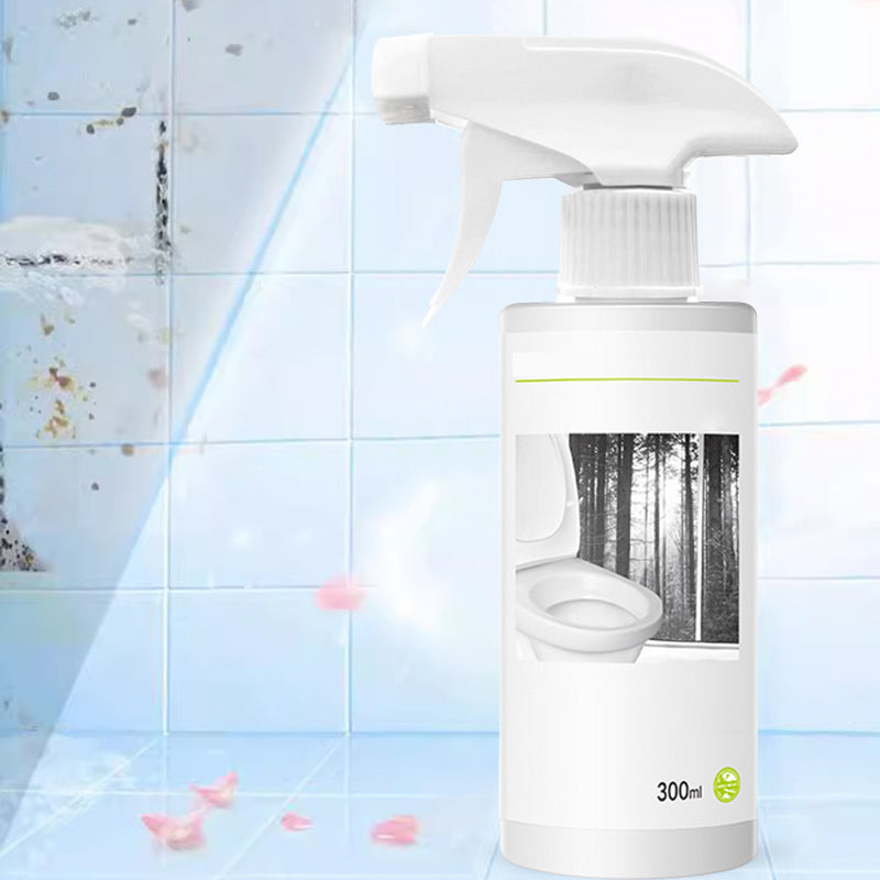 Powerful Oxalic Acid Stain Toilet Glass Cleaner
