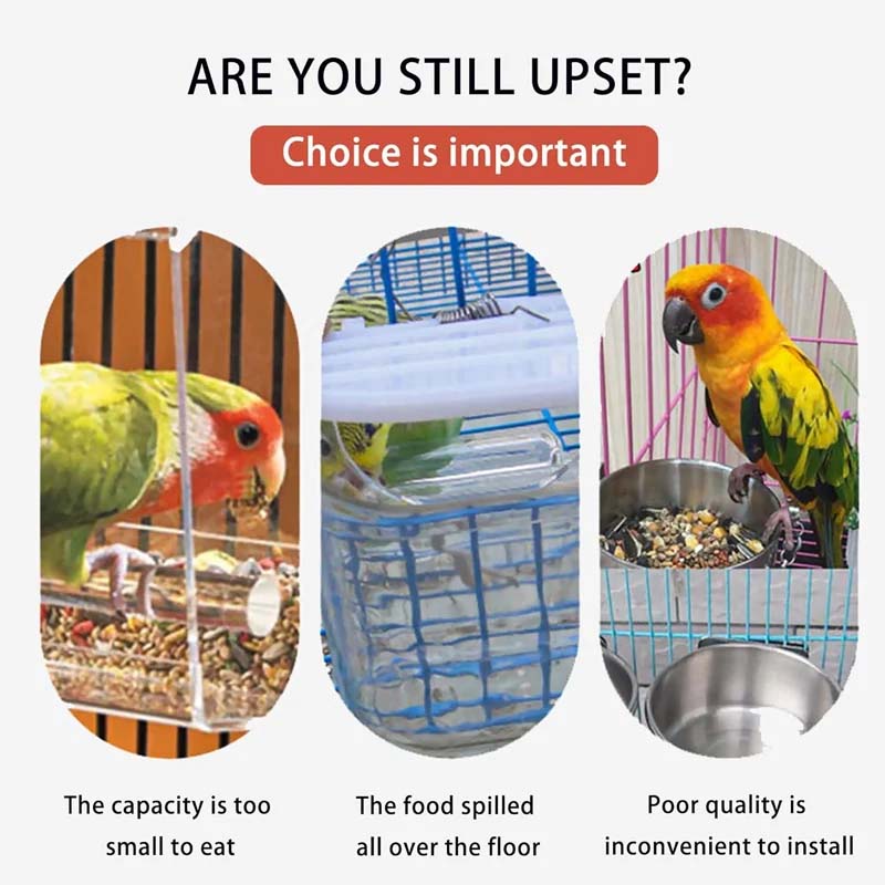 Automatic transparent bird feeder without spills
