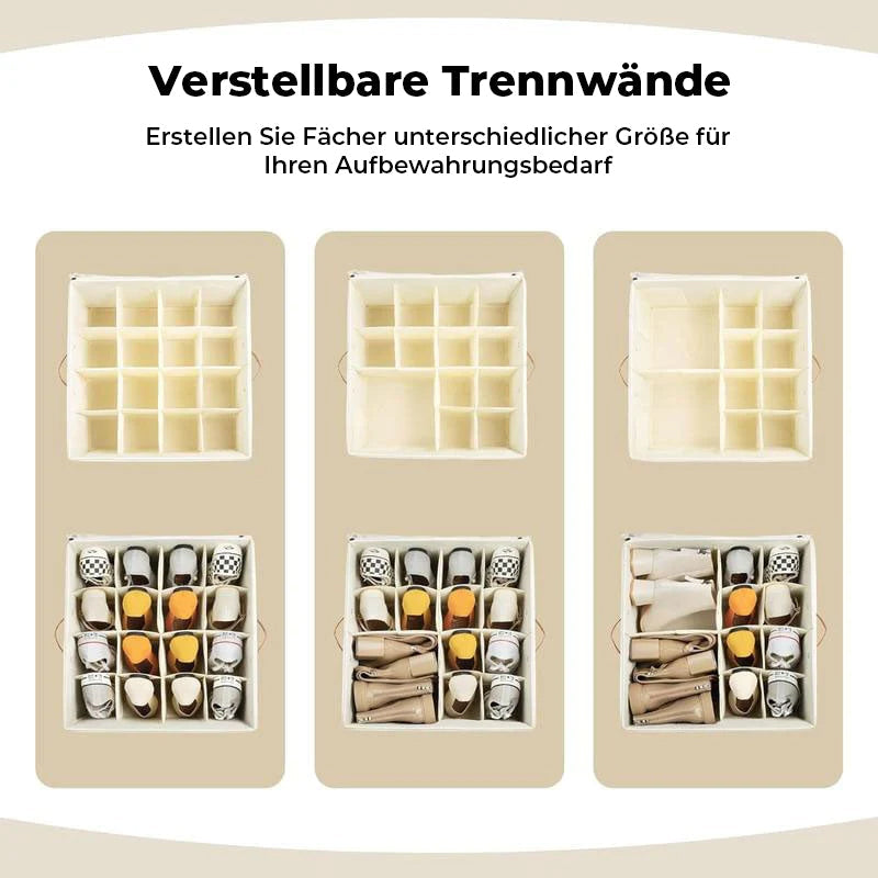 Collapsible Shoe Organizer Box with Transparent Lid and Dividers