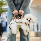 Multi-Function Pet Harness and Carrier Backpack for Small Dogs and Cats