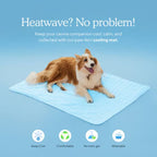 Cooling Mat for Dogs (4x More Effective)