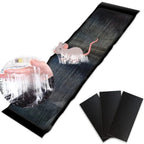 RodentLock Large Glue Trap – Effective and Easy Pest Control