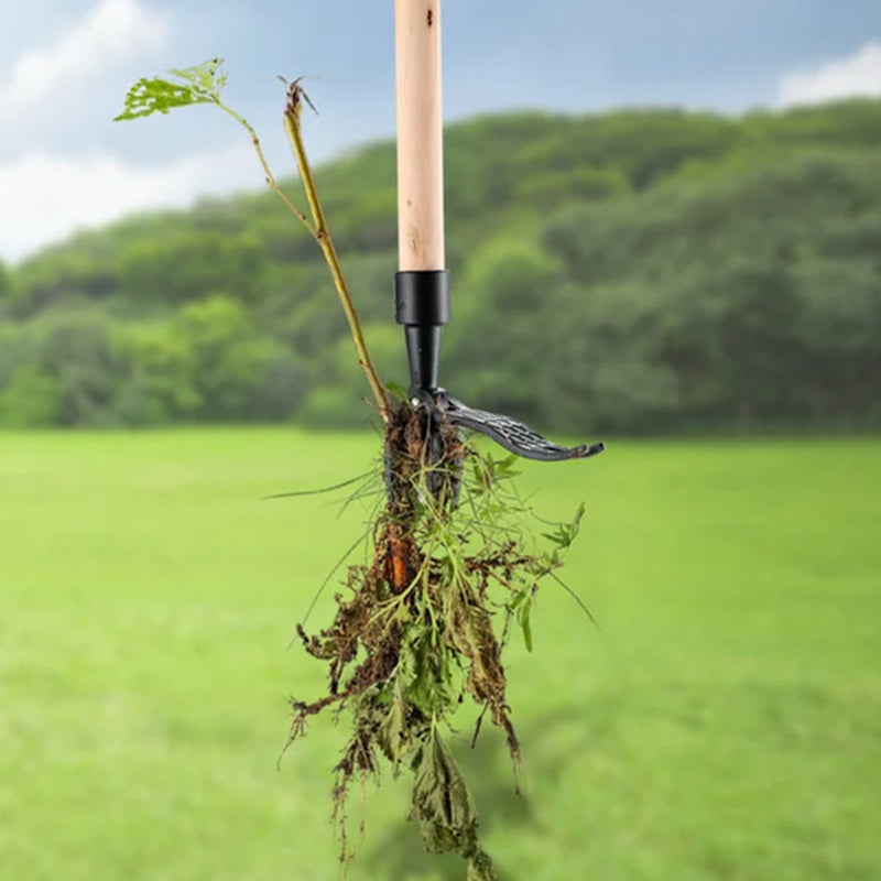 Stainless steel adjustable long handle removable weeder