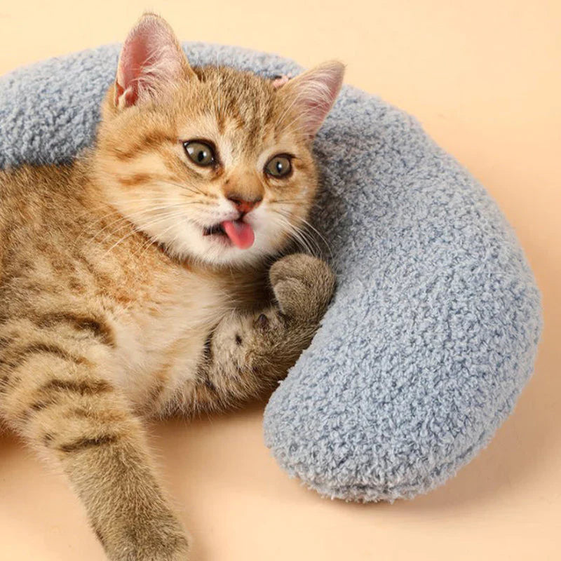Cat Beautiful cozy pillow