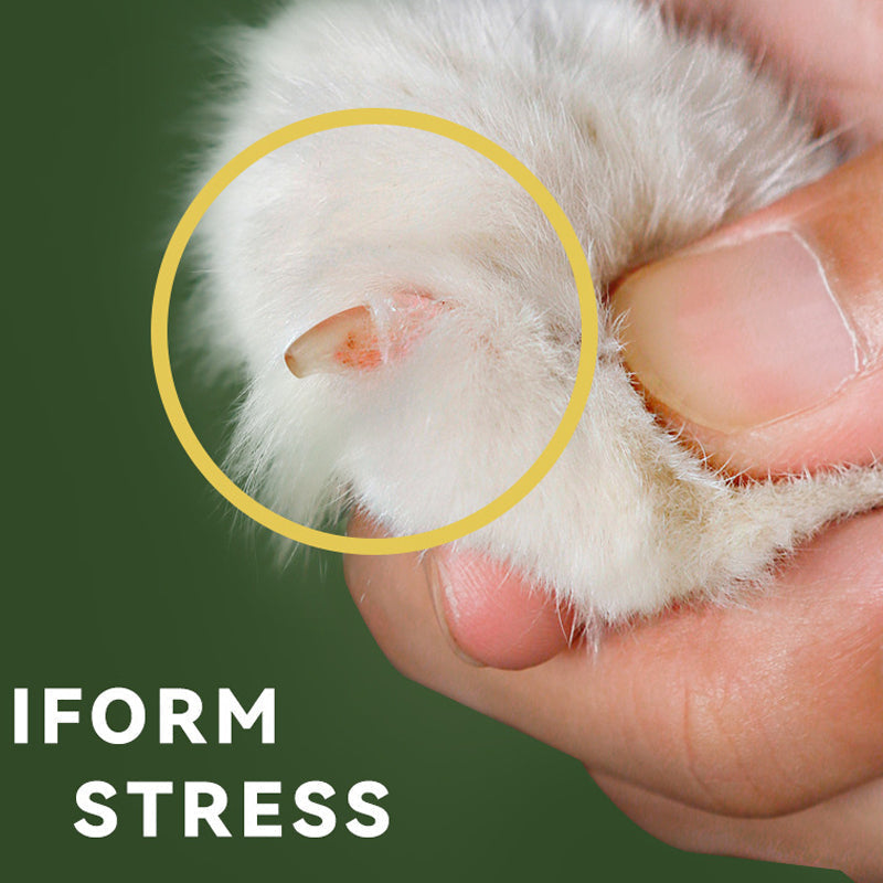 Effortless Pet Nail Clipper