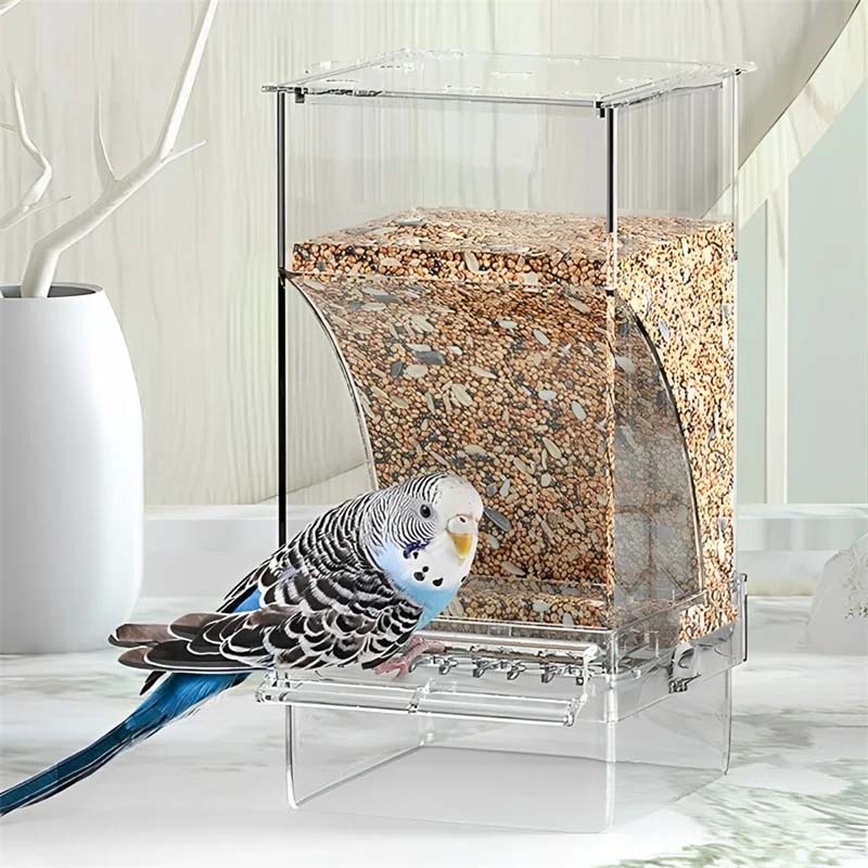 Automatic transparent bird feeder without spills