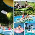Portable Air Pump + Camping Light