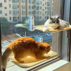 Foldable Cat Window Bed