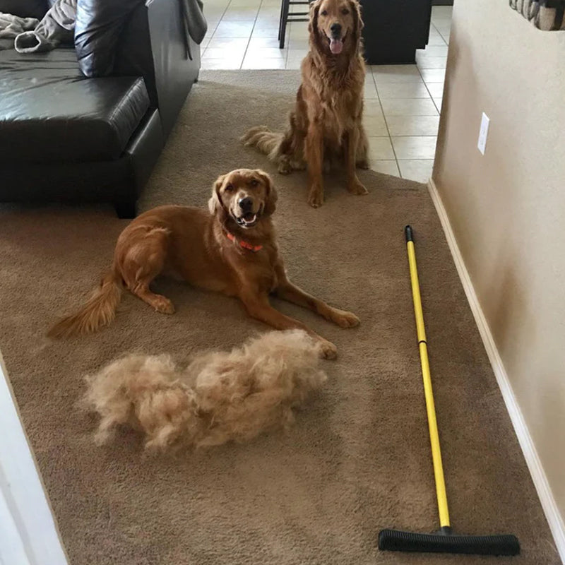 Fur remover