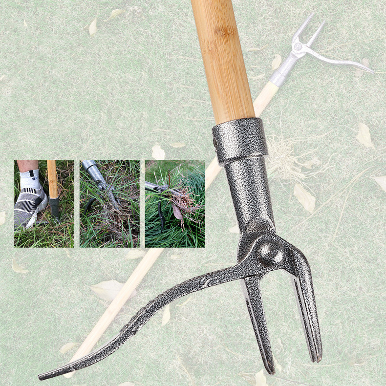Weed puller with 4-claw head – Effective garden tool made of iron for root removal