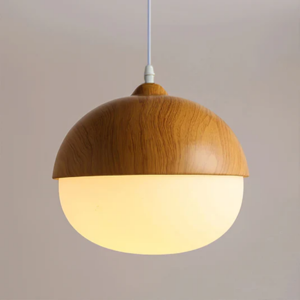 Nuts Art Pendant Lamp