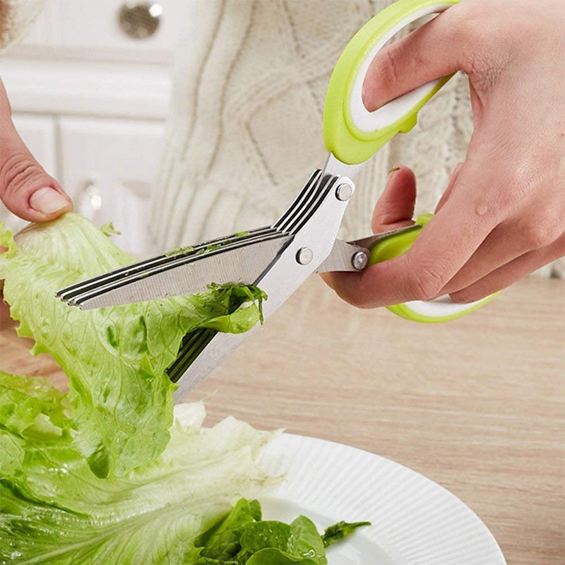 Multi-layered Spring Onion Scissors