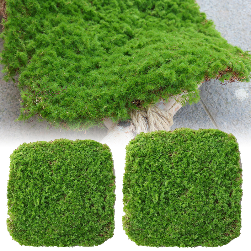 Moss Cover Piece – Moss Flakes Ornament for Decoration and Landscaping