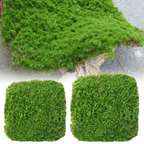 Moss Cover Piece – Moss Flakes Ornament for Decoration and Landscaping