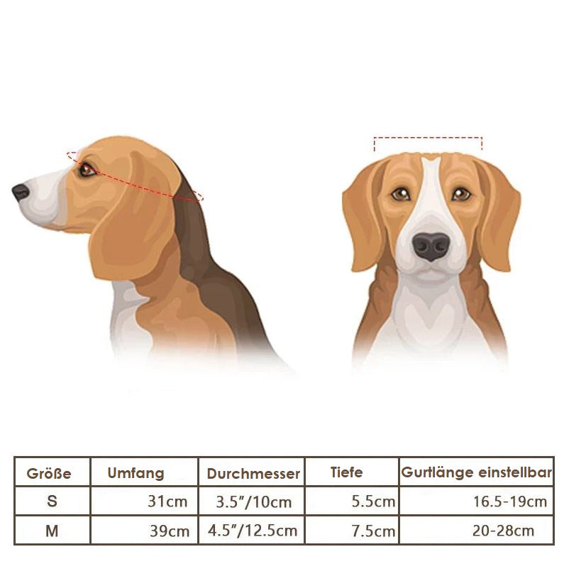 Motorcycle Helmet and Goggles for Dogs – Trendy and Safe
