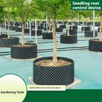 Root control device for plants and landscaping to promote healthy growth
