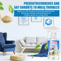 Mold and Mildew Remover Cleaning Spray