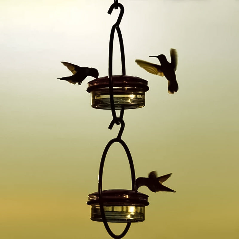 Simple Hummingbird Water Dispenser Made of Metal