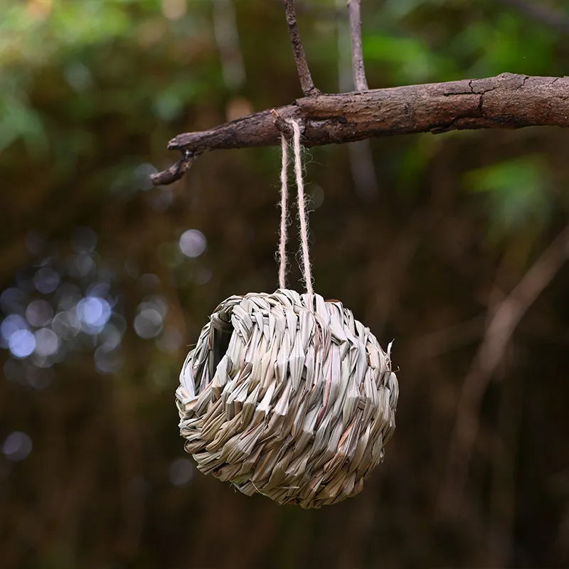 Hummingbird Nest House