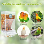 Automatic transparent bird feeder without spills
