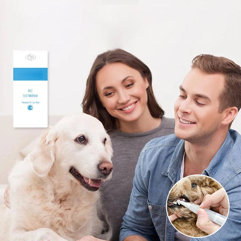 New Improved Pet Toothbrush Pen