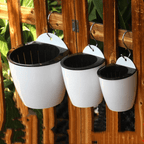 watering flower pot