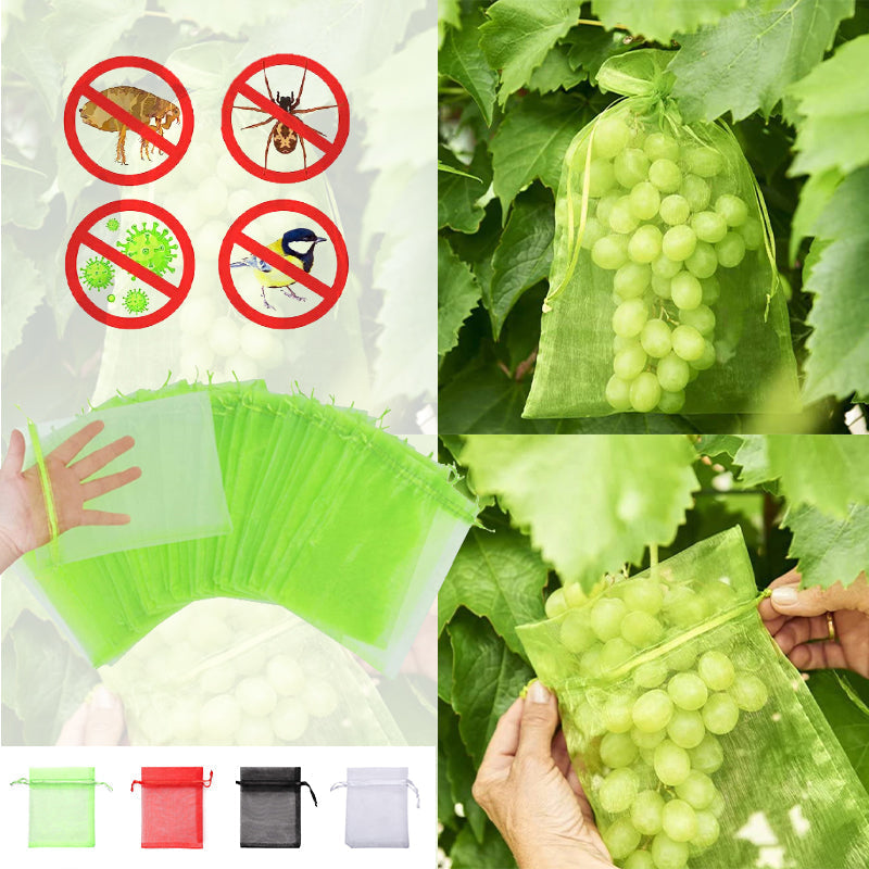Fruit Protection Bag (100 PCS)