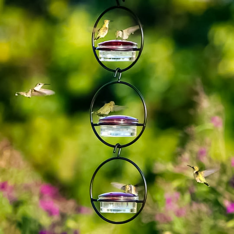 Simple Hummingbird Water Dispenser Made of Metal