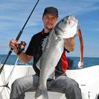 New Design Angler Dragon Hole Bait 46 Sections Soft Bait