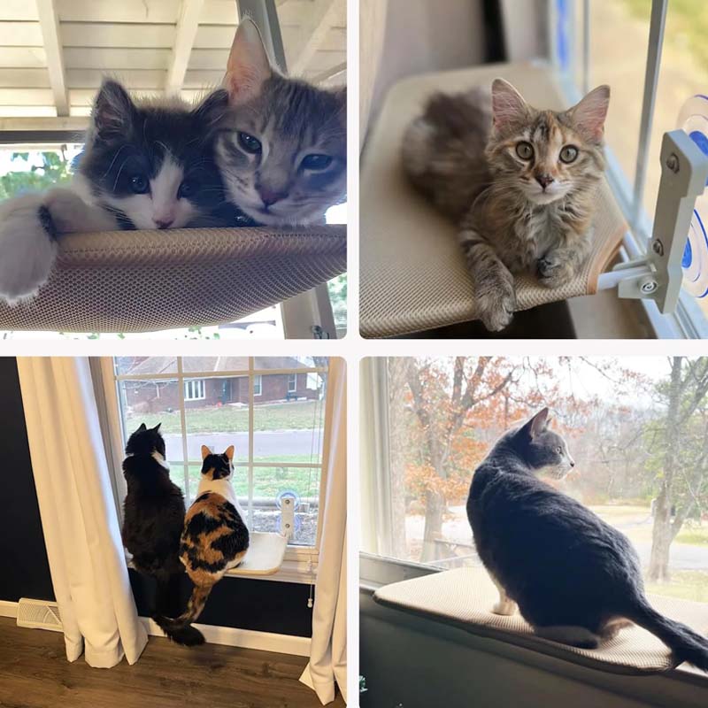 Foldable Cat Window Bed