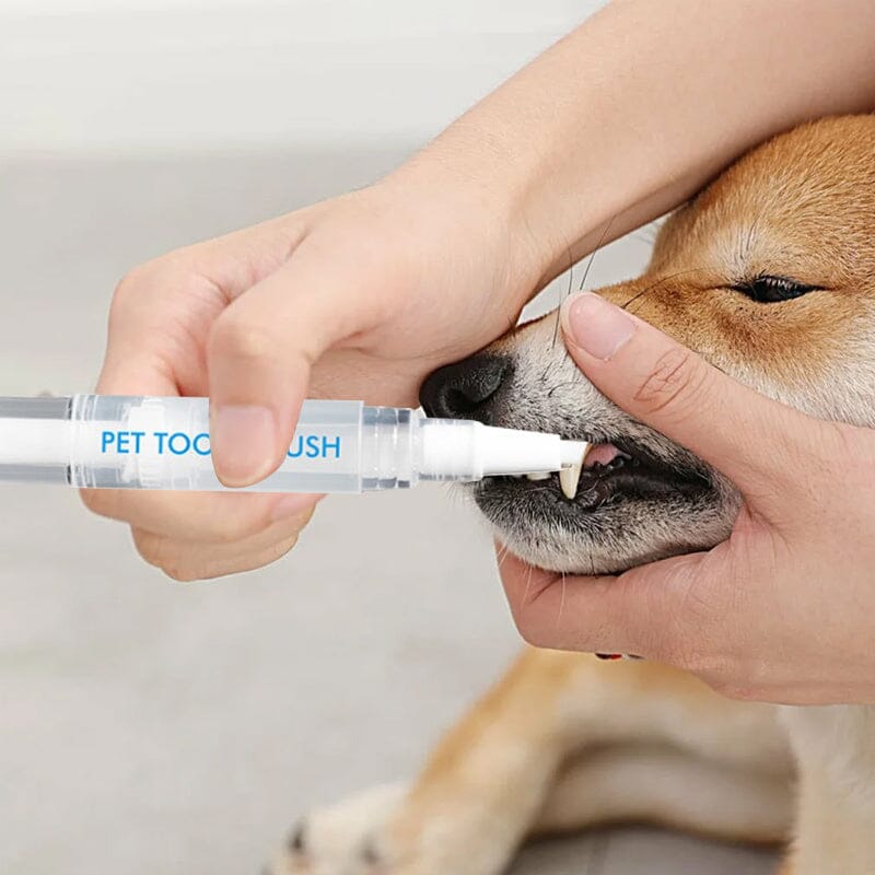 New Improved Pet Toothbrush Pen