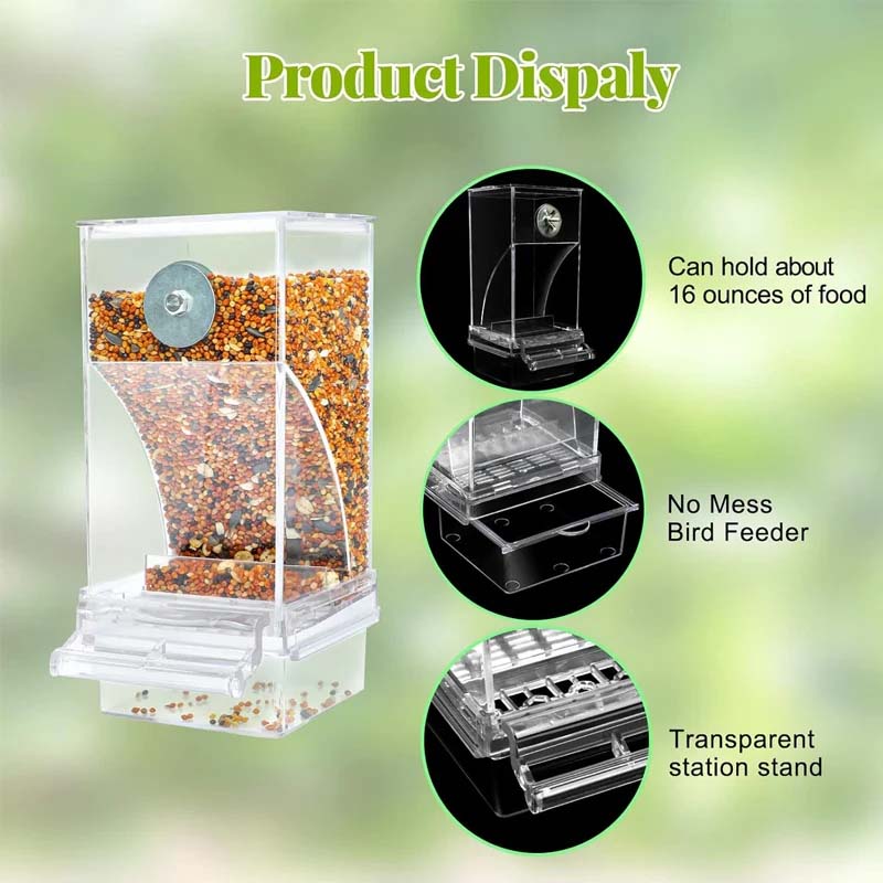 Automatic transparent bird feeder without spills