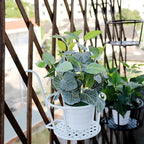 Hanging Window Flower Basket
