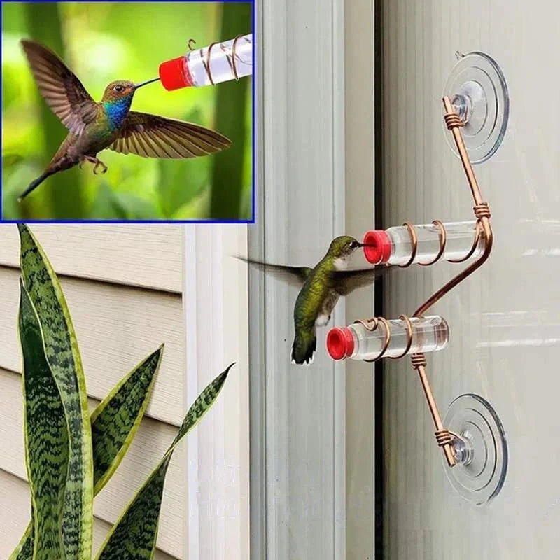 Window Nectar - See the birds up close - Wonder guaranteed