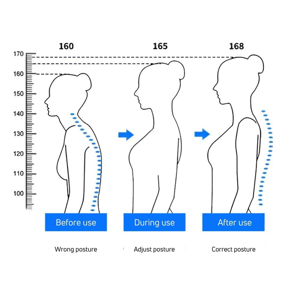HealthPost 3-in-1 Back Posture Corrector | Adjustable Back Support for Office, Sports & Daily Life | Upper & Lower Back