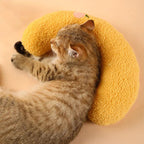 Cat Beautiful cozy pillow