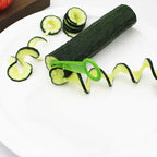 2-in-1 Chopper & Cutter