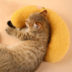 Cat Lovely Comfortable Cushion