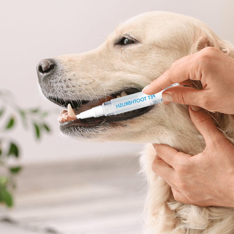 New Improved Pet Toothbrush Pen